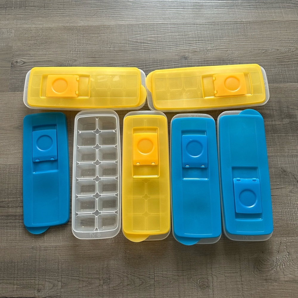 Ice Cube Trays with Cover (6)